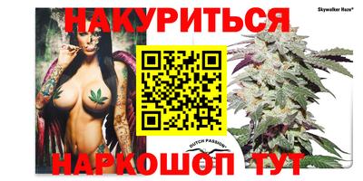 стаф Новоалександровск