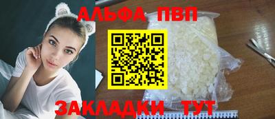 стаф Новоалександровск