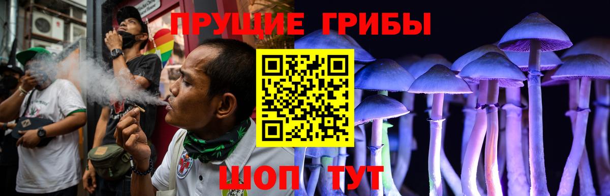 Псилоцибиновые грибы прущие грибы Камень-на-Оби