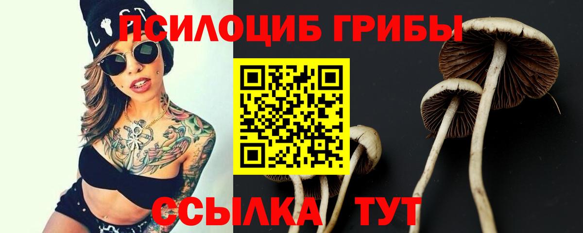 Галлюциногенные грибы прущие грибы  Вход с VPN  цена   Камень-на-Оби 